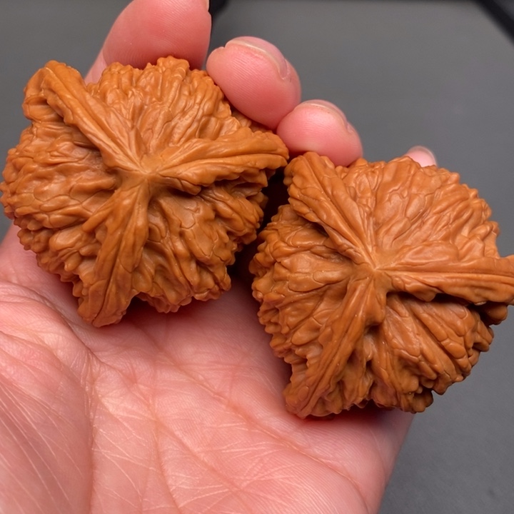 一***求木质类核桃核桃核桃