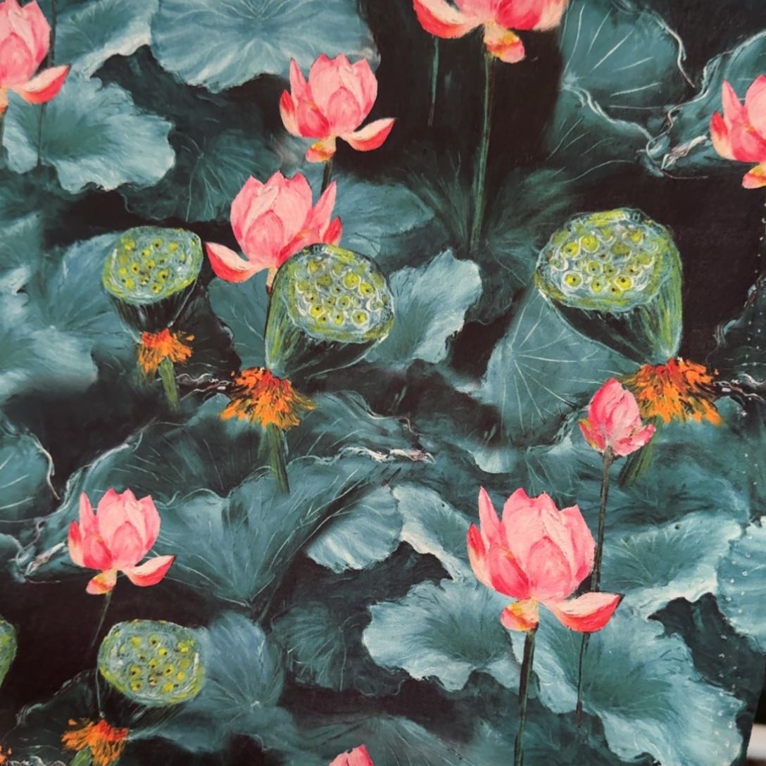 棉纯棉平布1米价X1.1米宽21