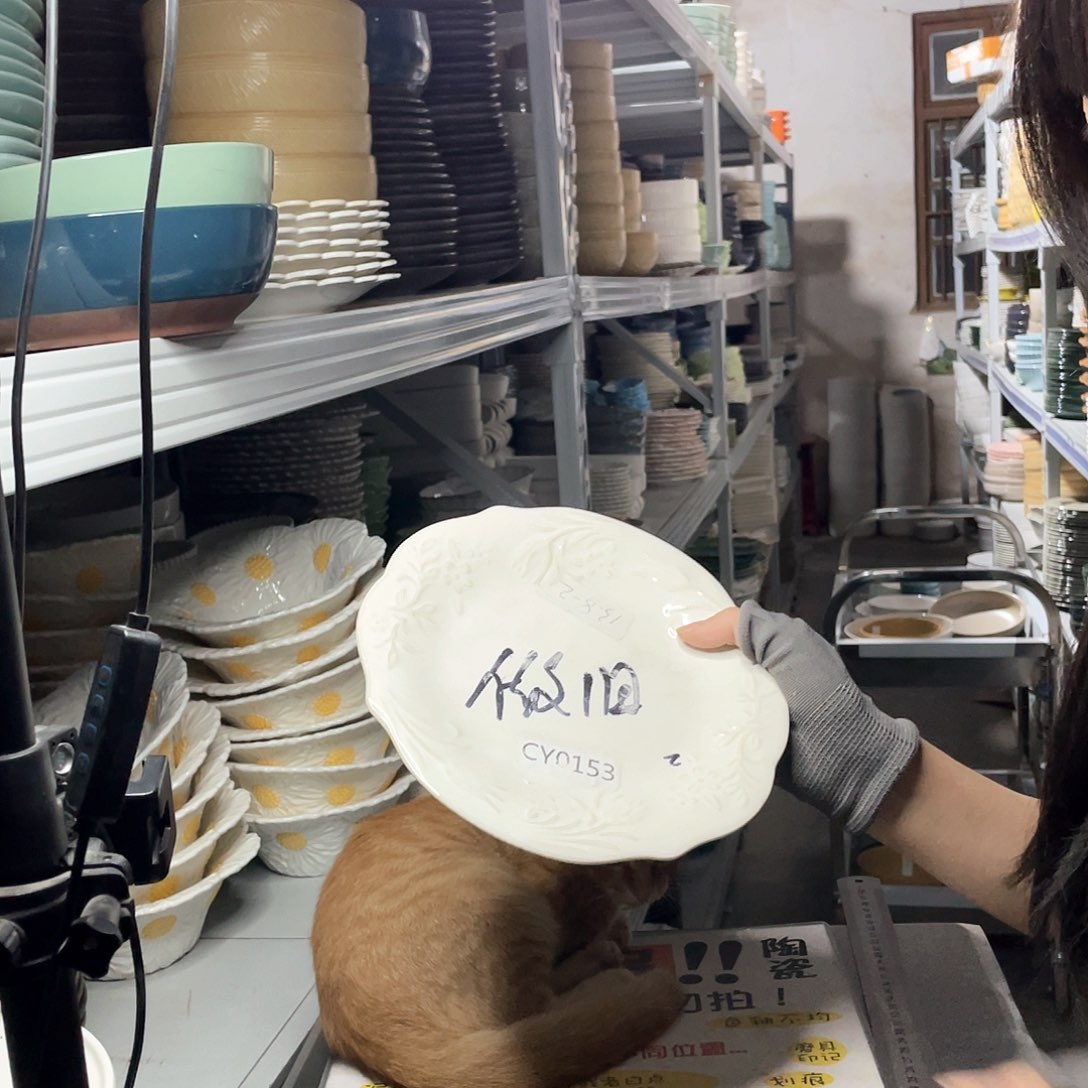 碗224               2个