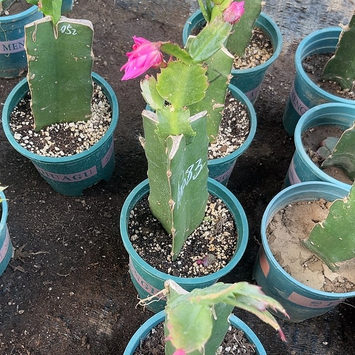 魏***微53号021，0000000000