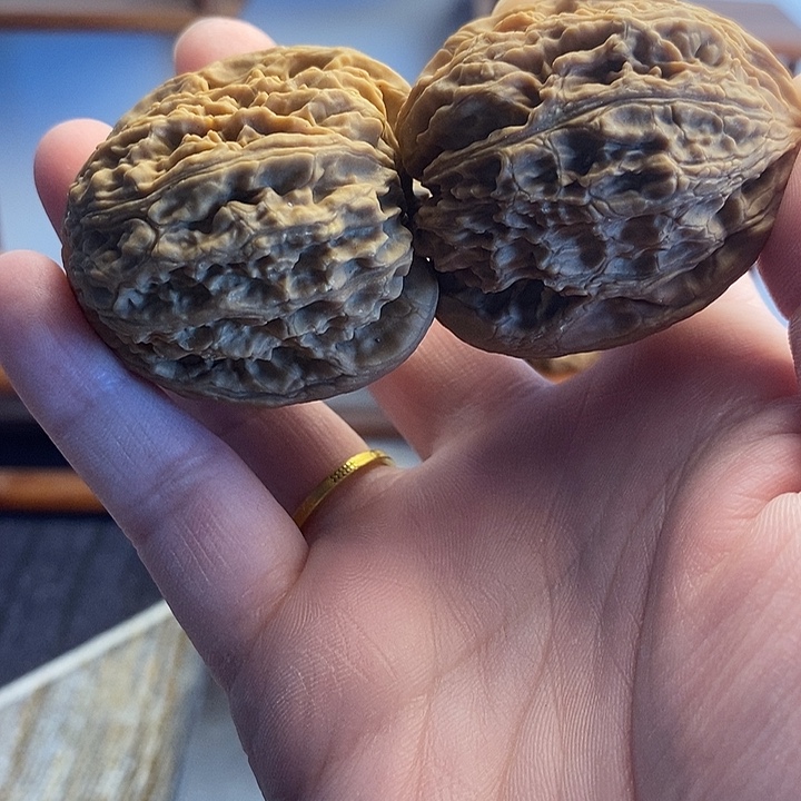 涿鹿南疆石文玩核桃