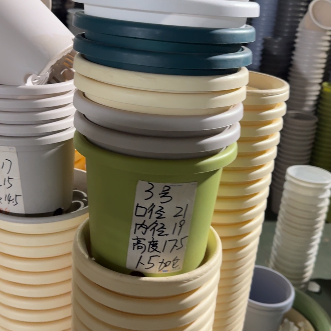 四季3#口径21无拖果绿10个