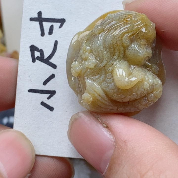 颈饰未镶嵌硅化珊瑚（珊瑚玉）