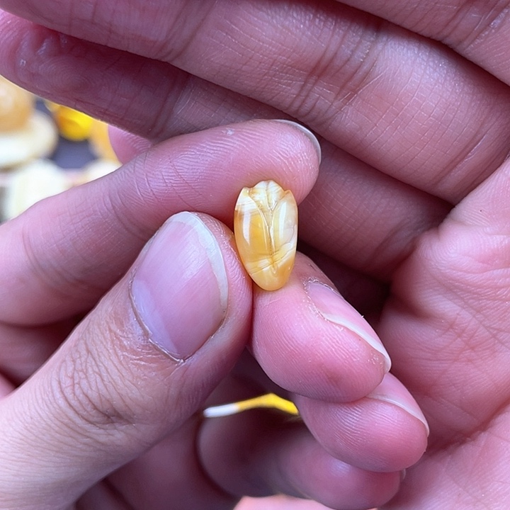 琥珀裸石未镶嵌蜜蜡