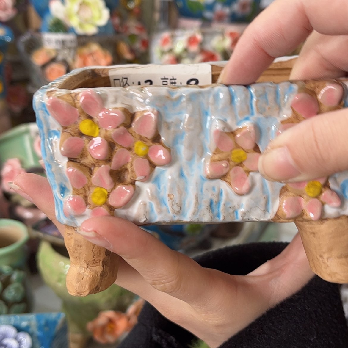 【闪购商品】红陶福利