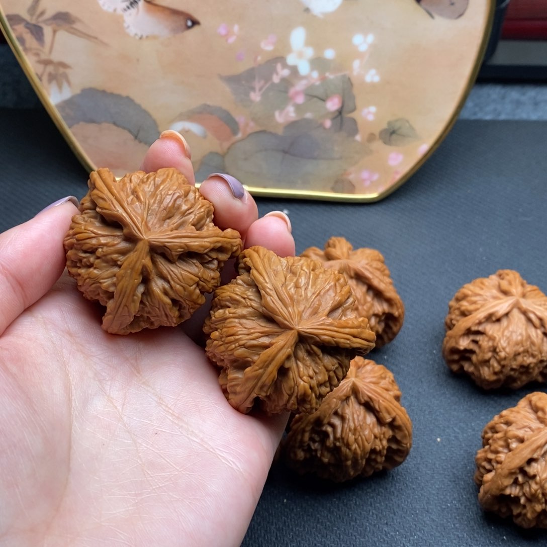 景****、白狮子111111111