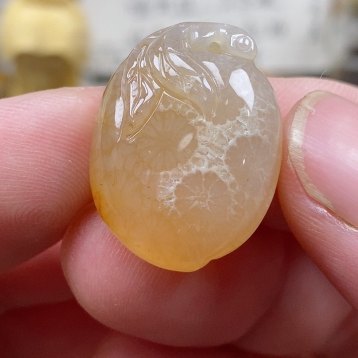 颈饰未镶嵌硅化珊瑚（珊瑚玉）小