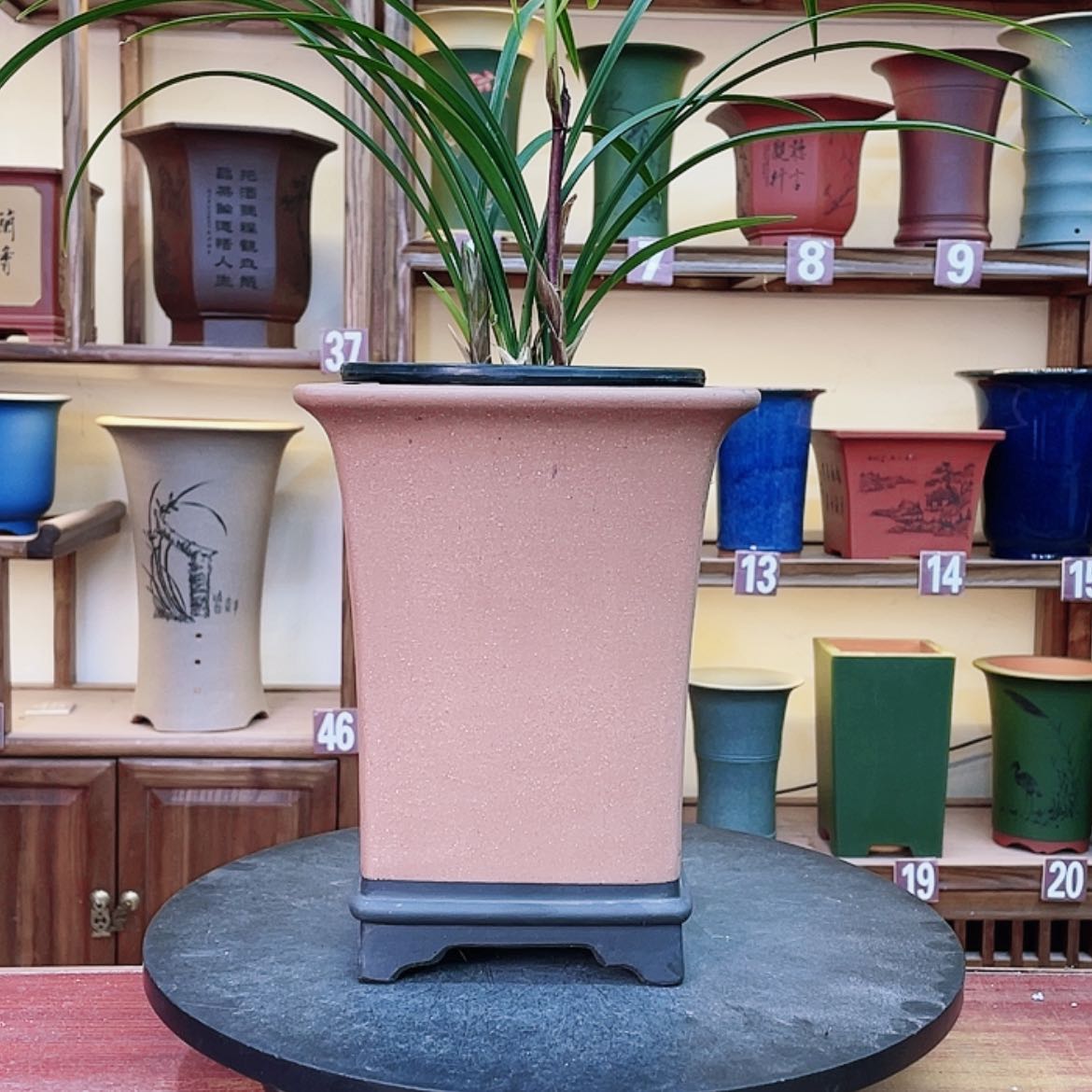 【闪购商品】紫砂花盆兰花742258854556587555