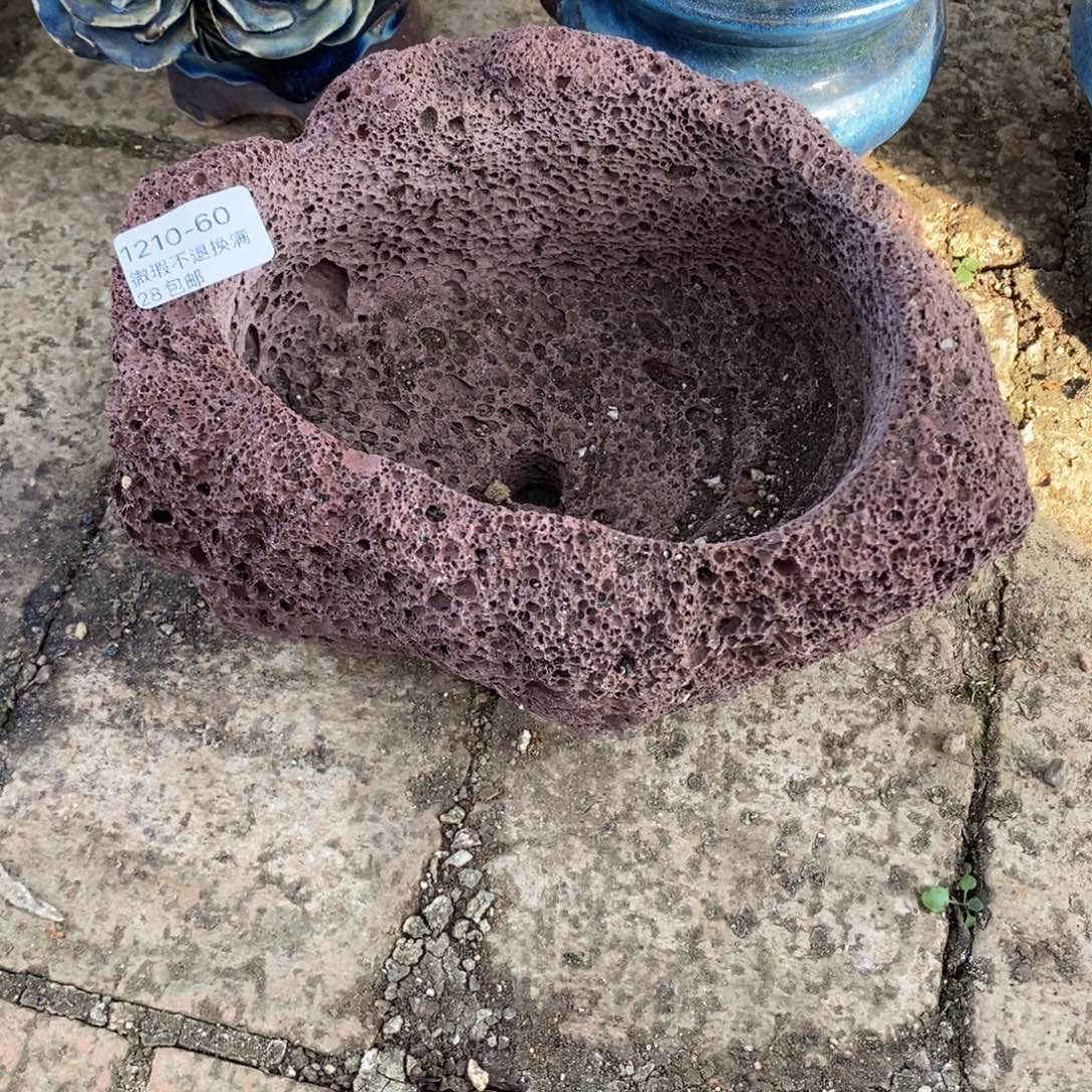 60号多肉盆口径14