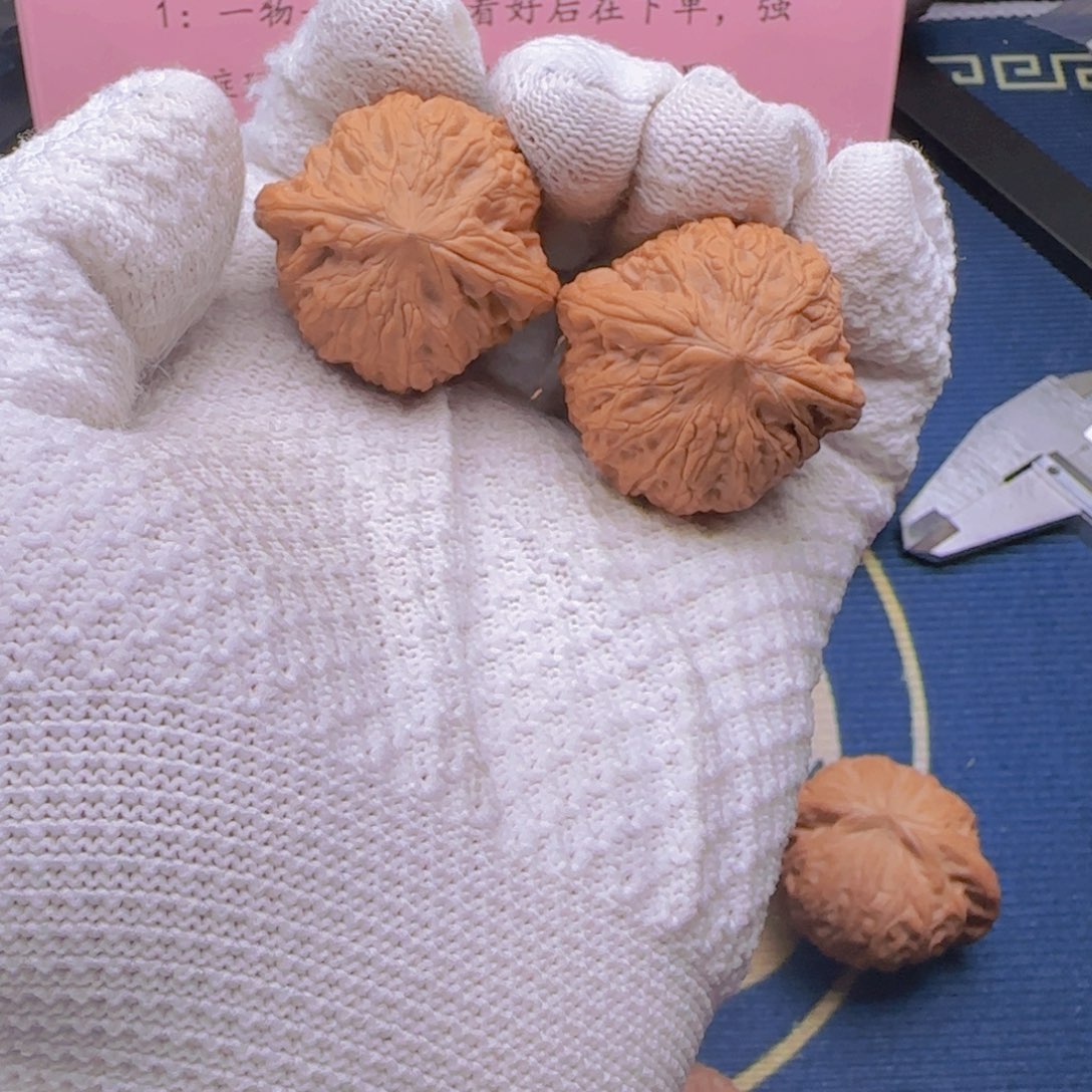 。*。全品无修精品铁锤