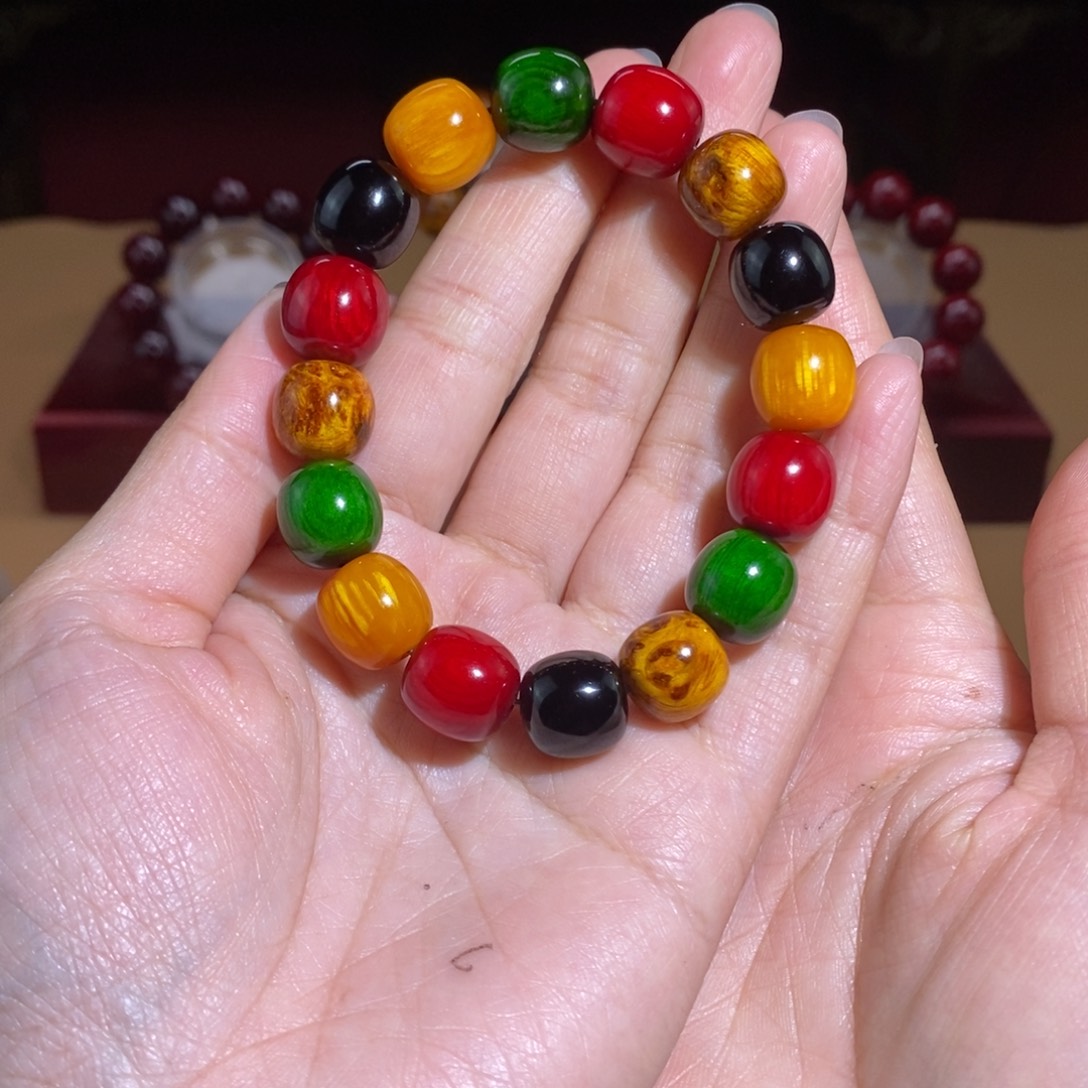 贝壳杉帝王血龙木1.3多宝