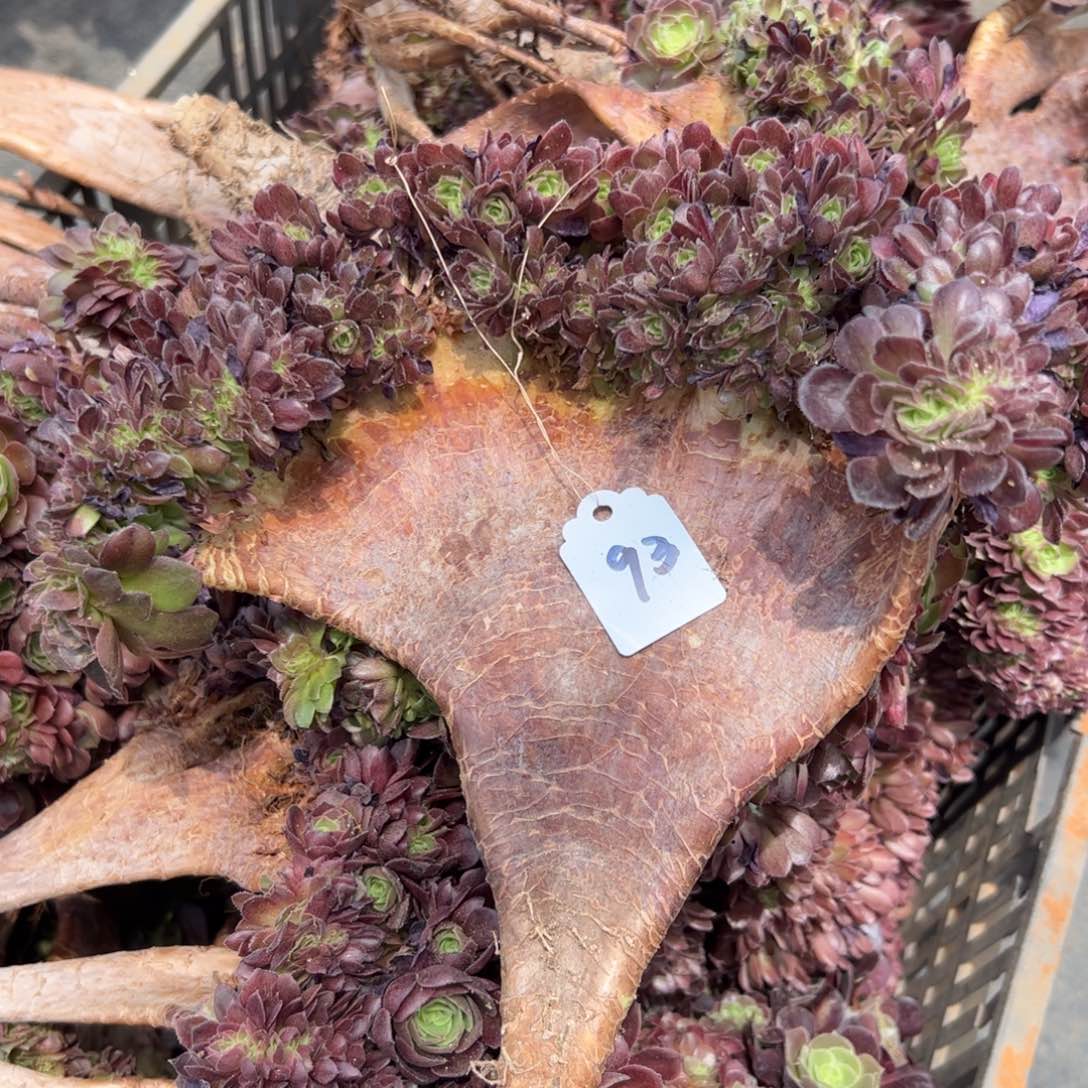 万缀小整版朵朵缀93号