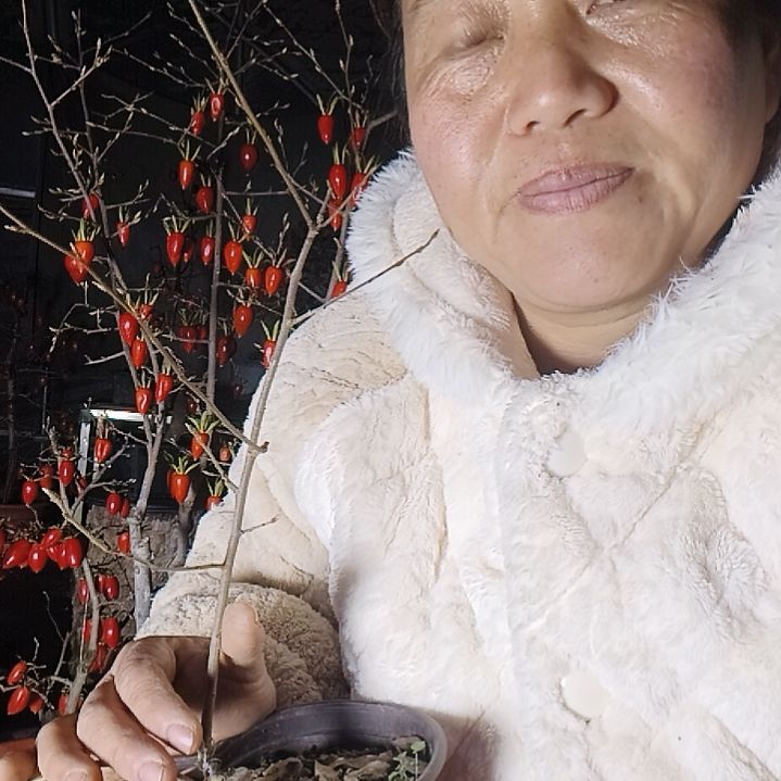 墨***白无花朵42655685688558