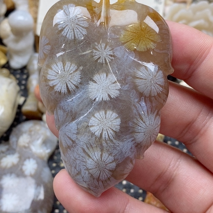 颈饰未镶嵌硅化珊瑚（珊瑚玉）