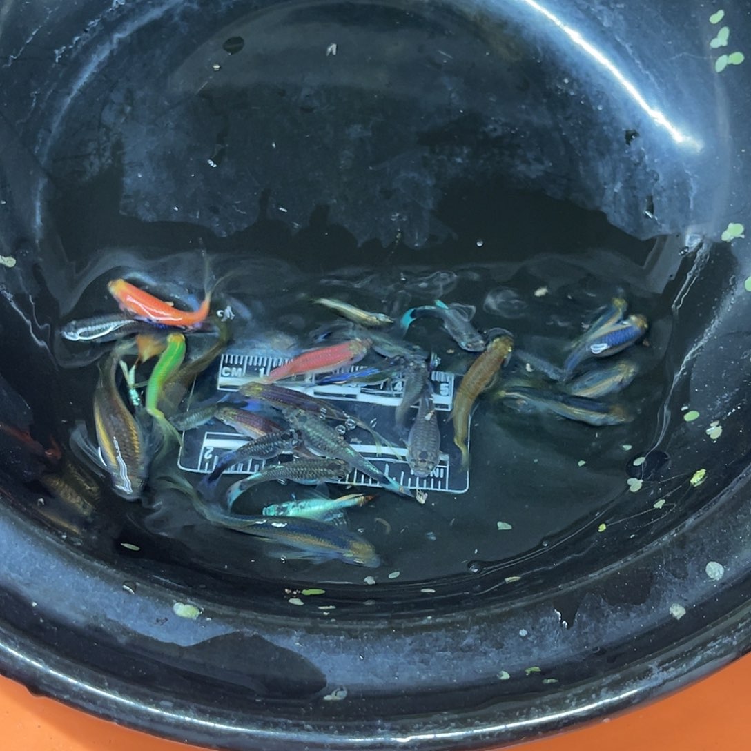 海水1号哈哈哈哈哈哈