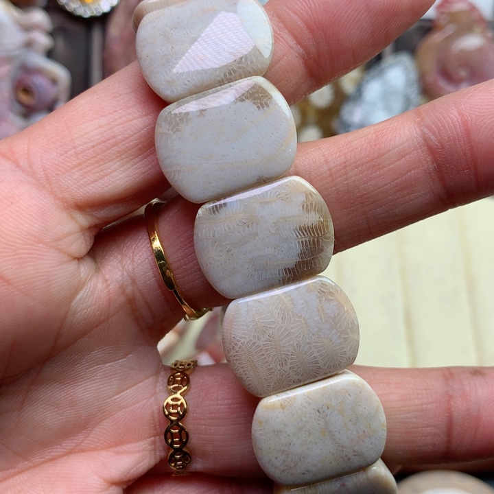 硅化珊瑚（珊瑚玉）颈饰未镶嵌