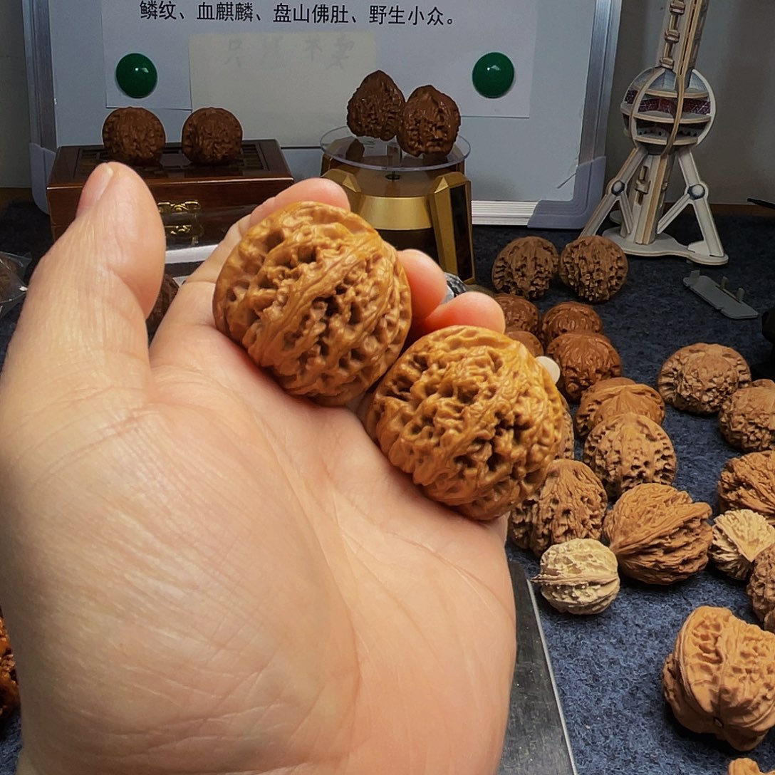 猴头核桃把件磊粗筋40.5尺