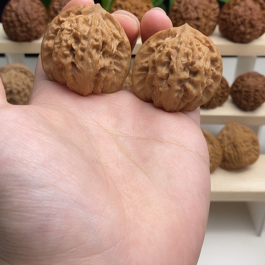 全品无修盘龙虎头42/41/40