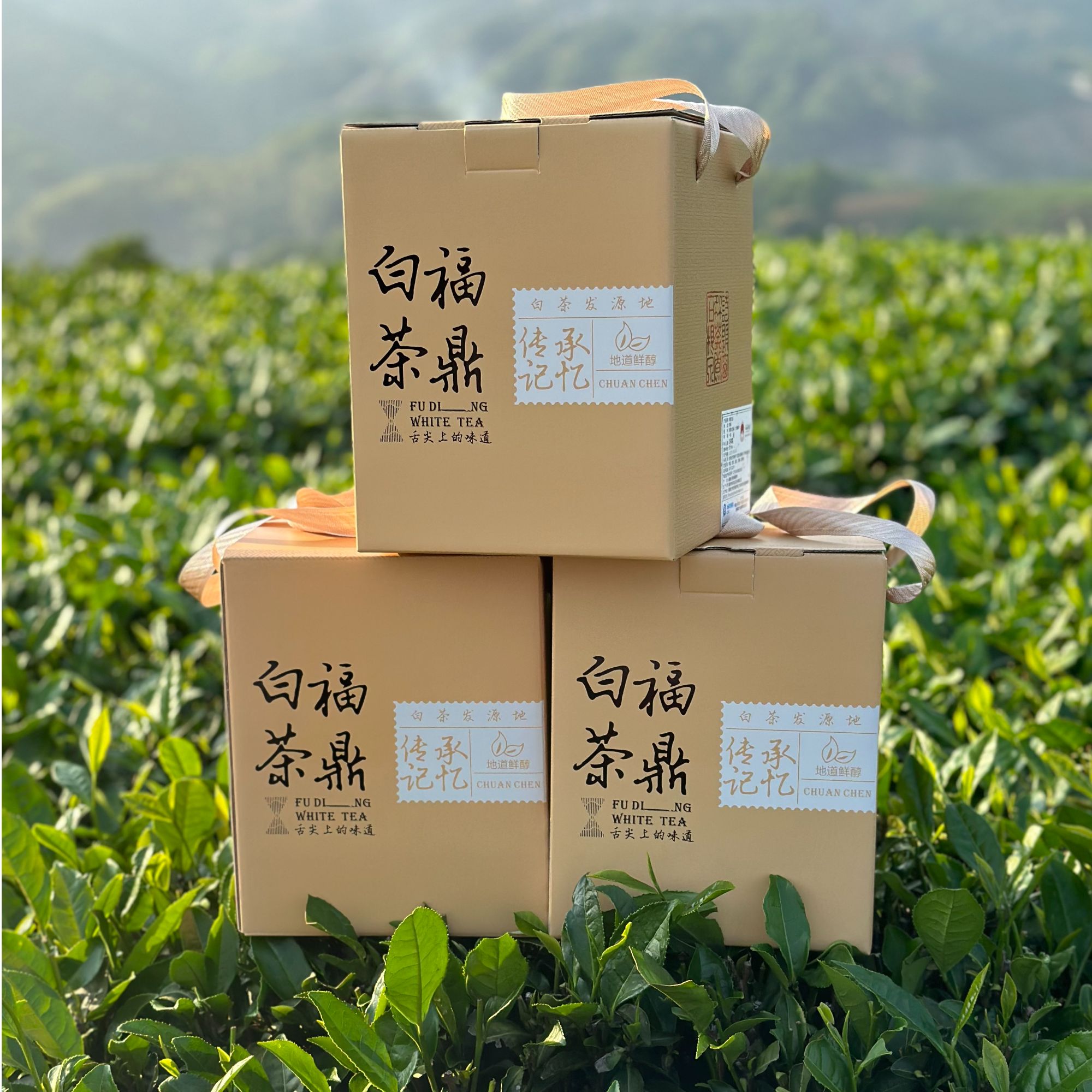 2019年寿眉散茶福鼎白茶日晒口粮茶350g白茶