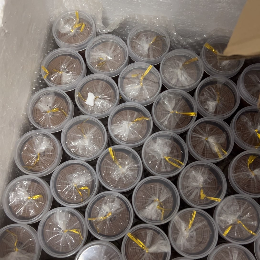 沉香碎屑沉香海南沉静盘香5盒