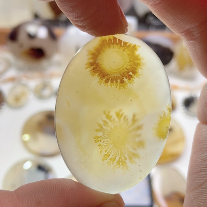 【闪购商品】玛瑙/玉髓颈饰未镶嵌