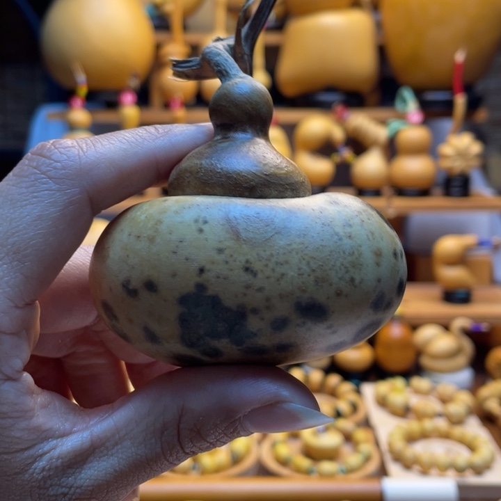 俗***银天然葫芦自然生长