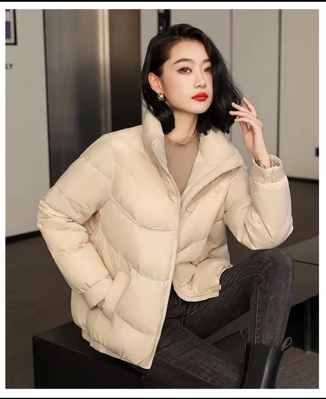 冬季休闲立领两粒扣白鸭绒羽绒服