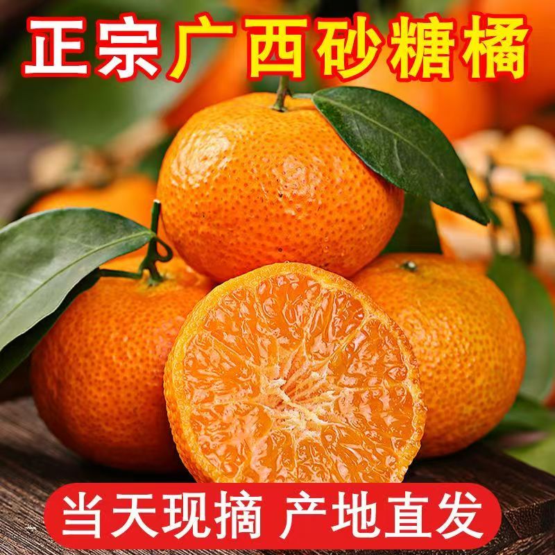 【正宗】现摘正宗金秋5斤砂糖橘当季水果新鲜薄皮橘子沙糖桔整箱Y