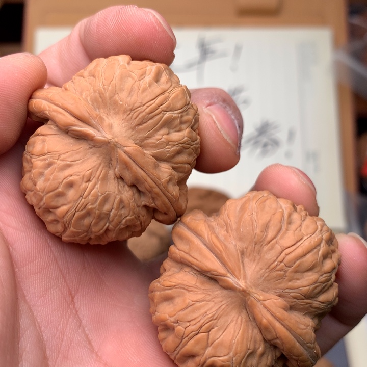 桃核把件40尺寸核桃/元宝