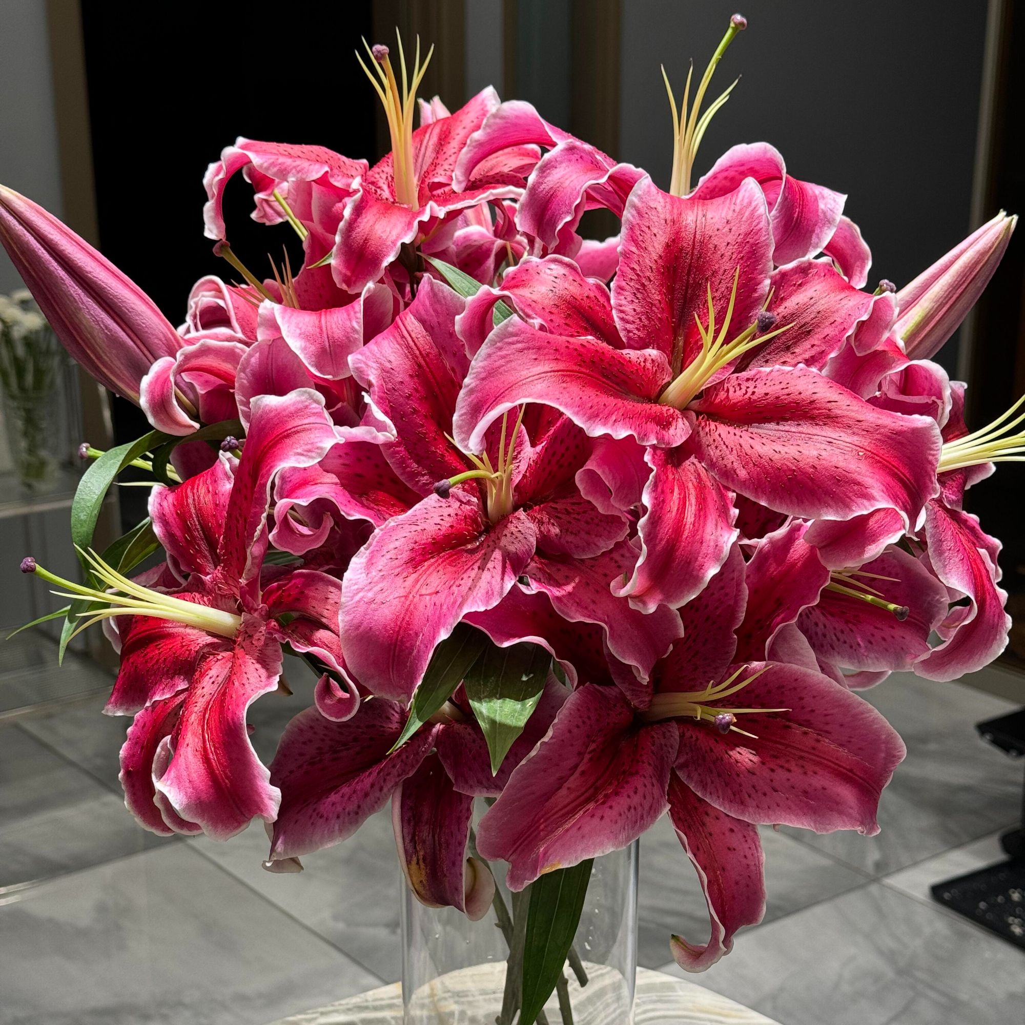 【与花同行】黑美人香水百合花单瓣粉色黄色水培鲜切花