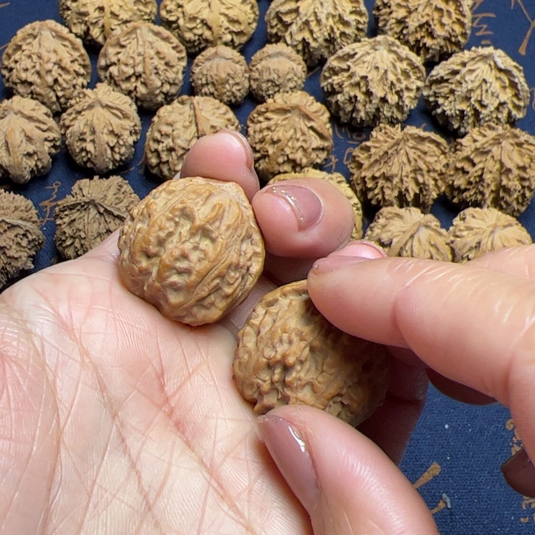 文玩核桃把件秦岭野生植物核桃
