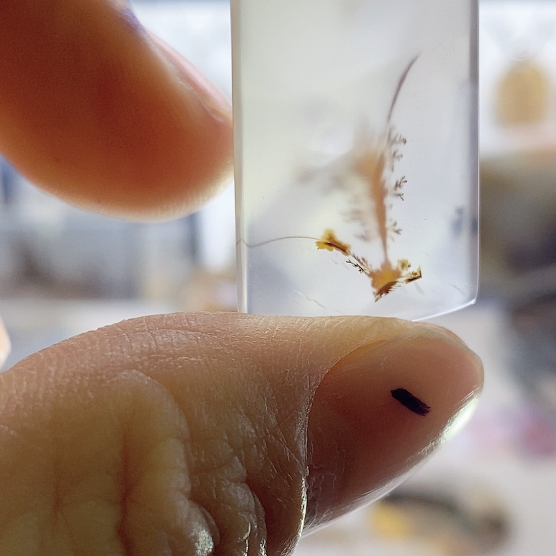 未镶嵌玛瑙/玉髓珠宝奇石水**社