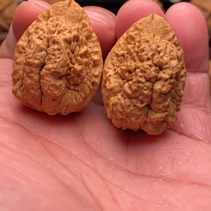 文玩核桃把件下播福利金蟾塔