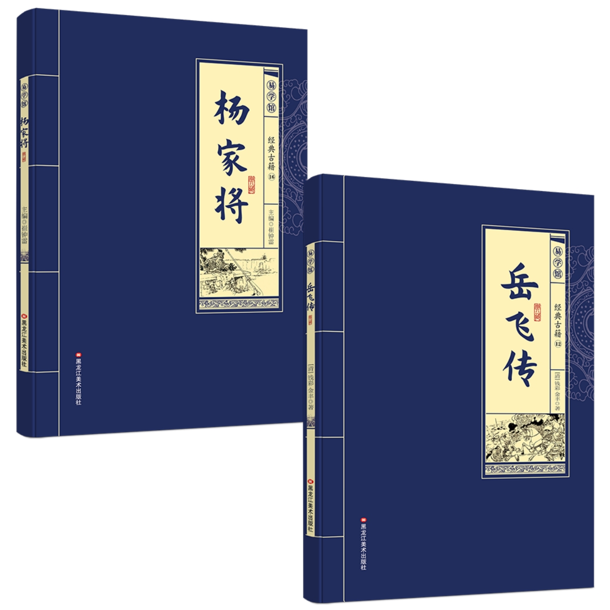 全2册岳飞传杨家将 经典文学古籍英雄史诗传奇国学典藏课外阅读