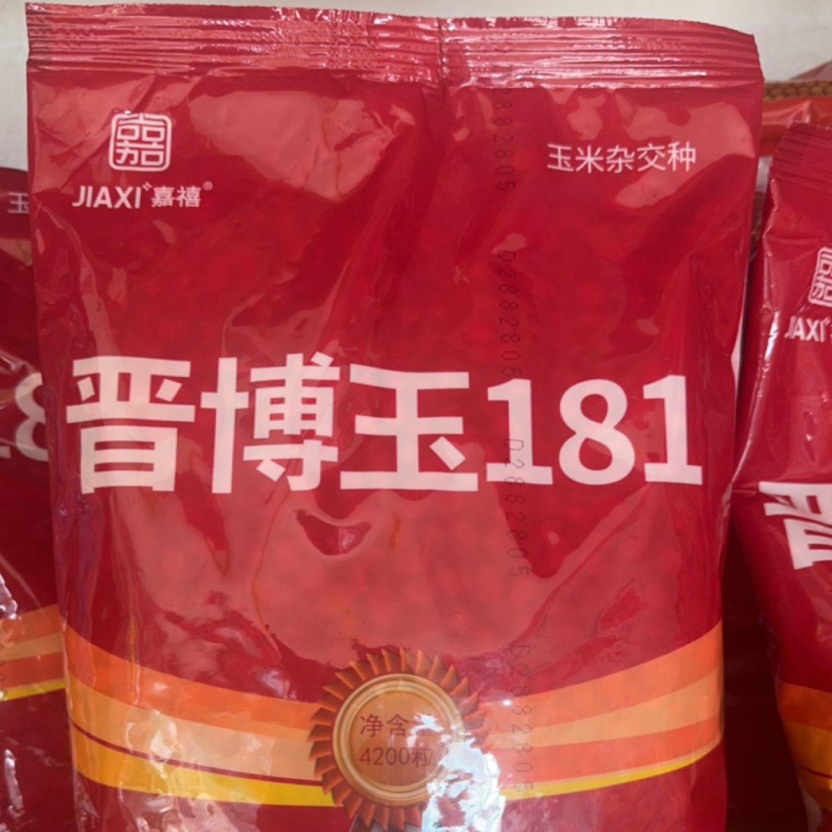 晋博玉181 高产抗病真可靠