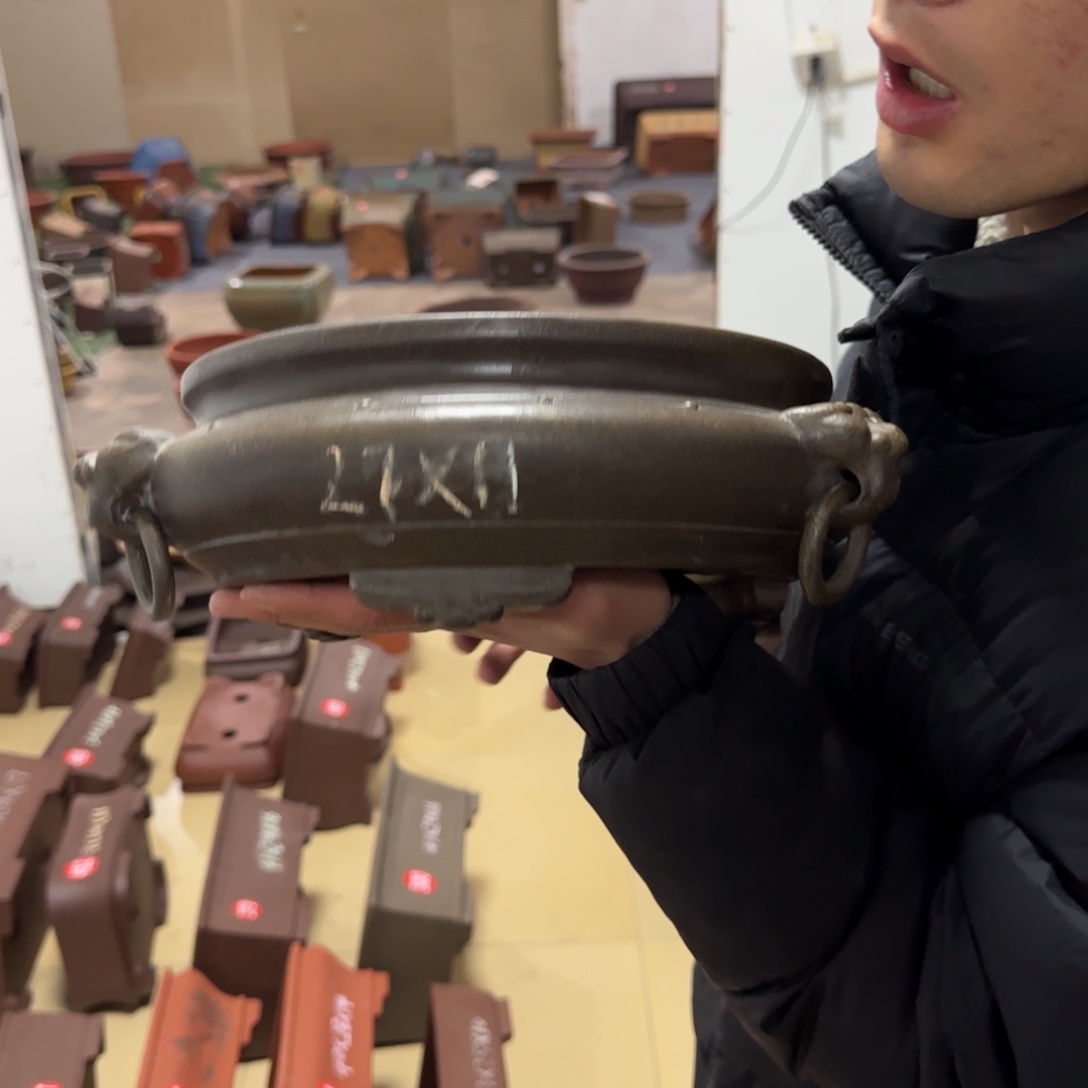 紫砂花盆呜呜呜呜