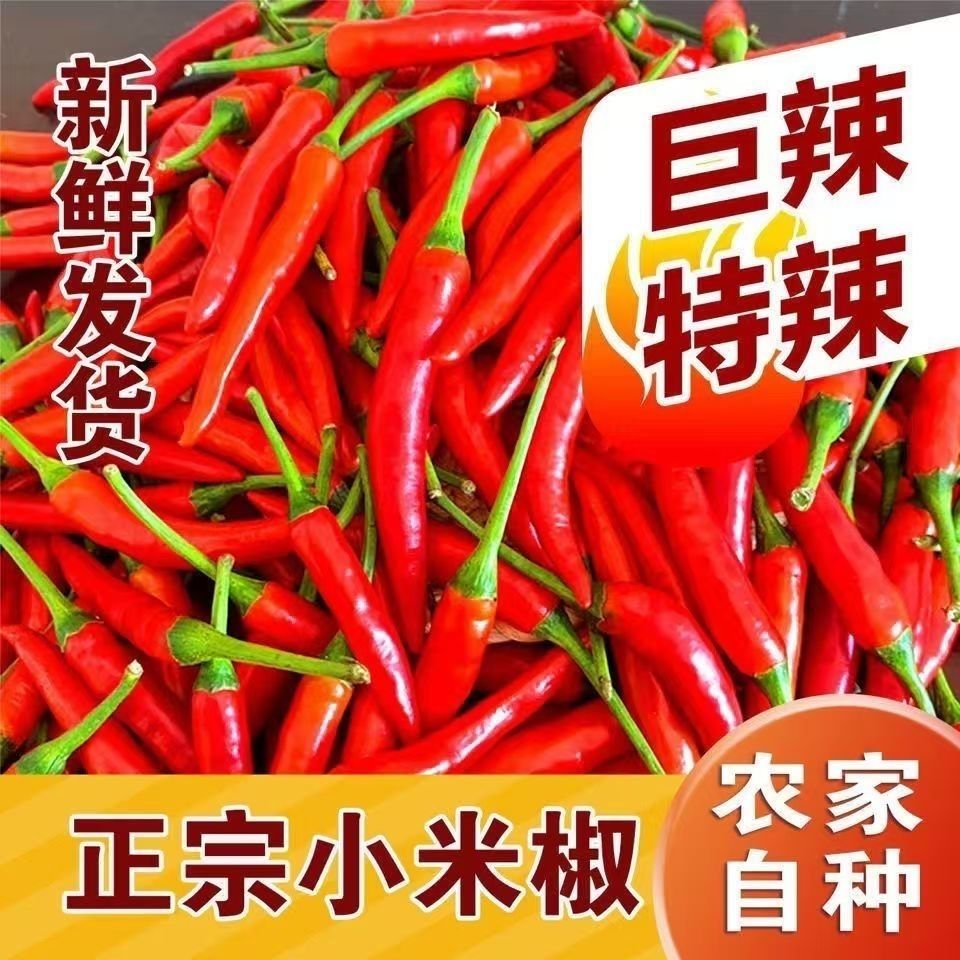 现摘现发新鲜辣椒小米辣红辣椒小米椒指天椒泡椒红米椒产地直发