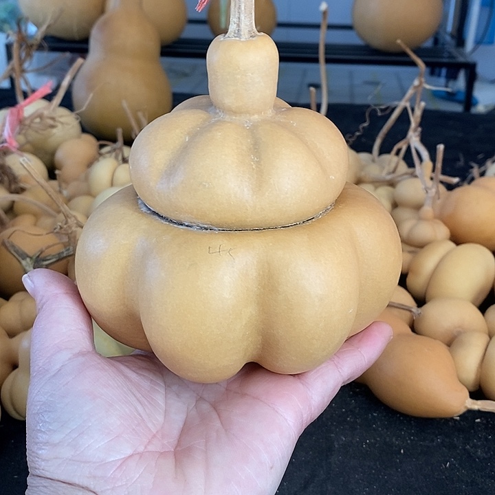 锦***婆葫芦的颜色和颜色是一样