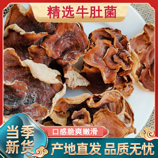 伏牛山牛肚菌干货蘑菇