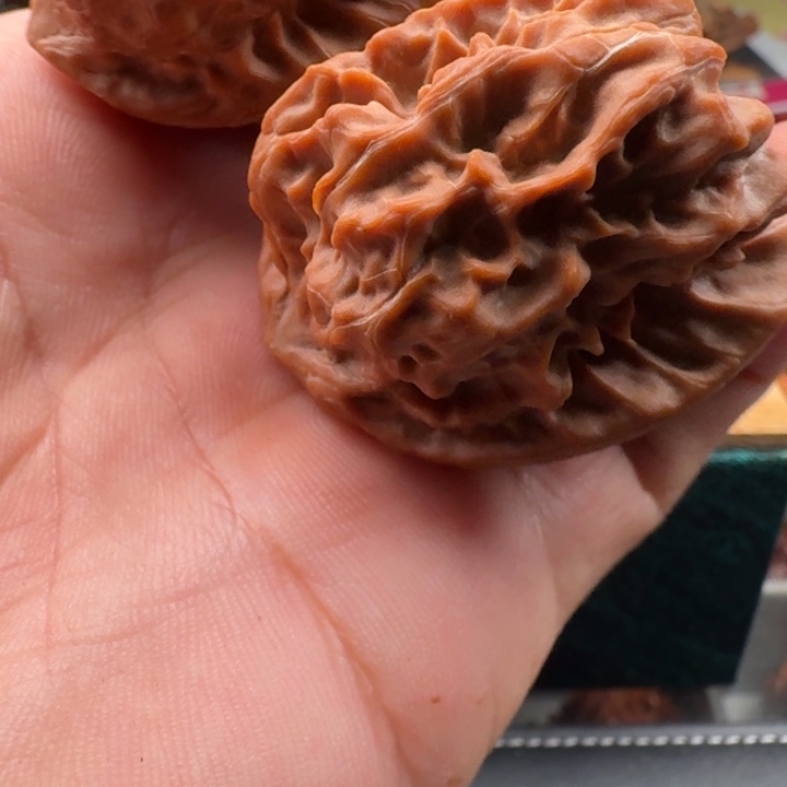 吊坠文玩核桃平谷野十三《龙娃》