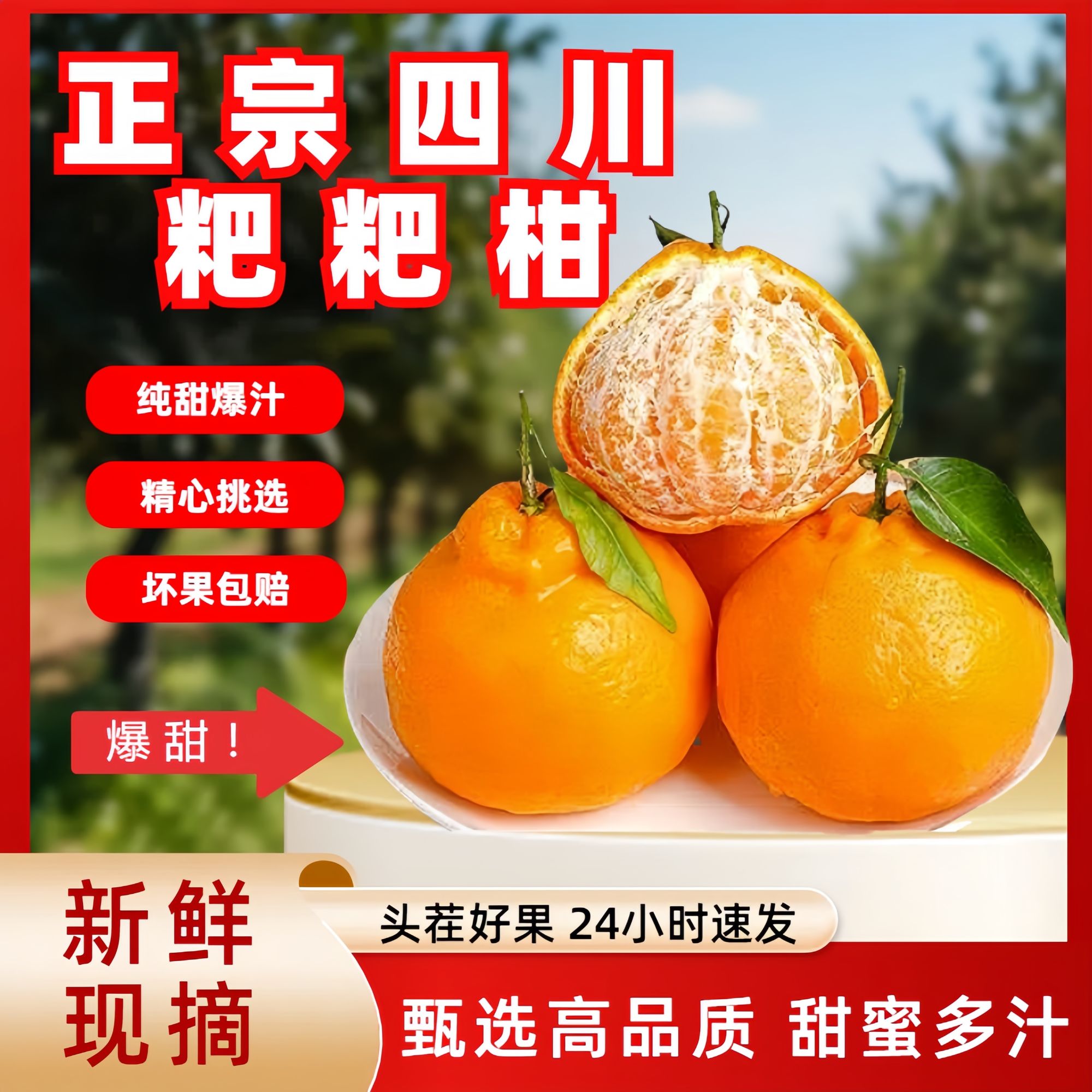 四川春见耙耙柑现摘应季水果产地直发