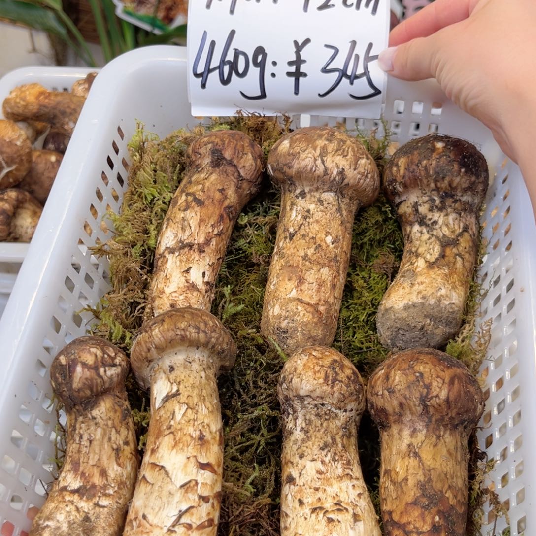 香格里拉本地货9.9-12cm460克中国大陆