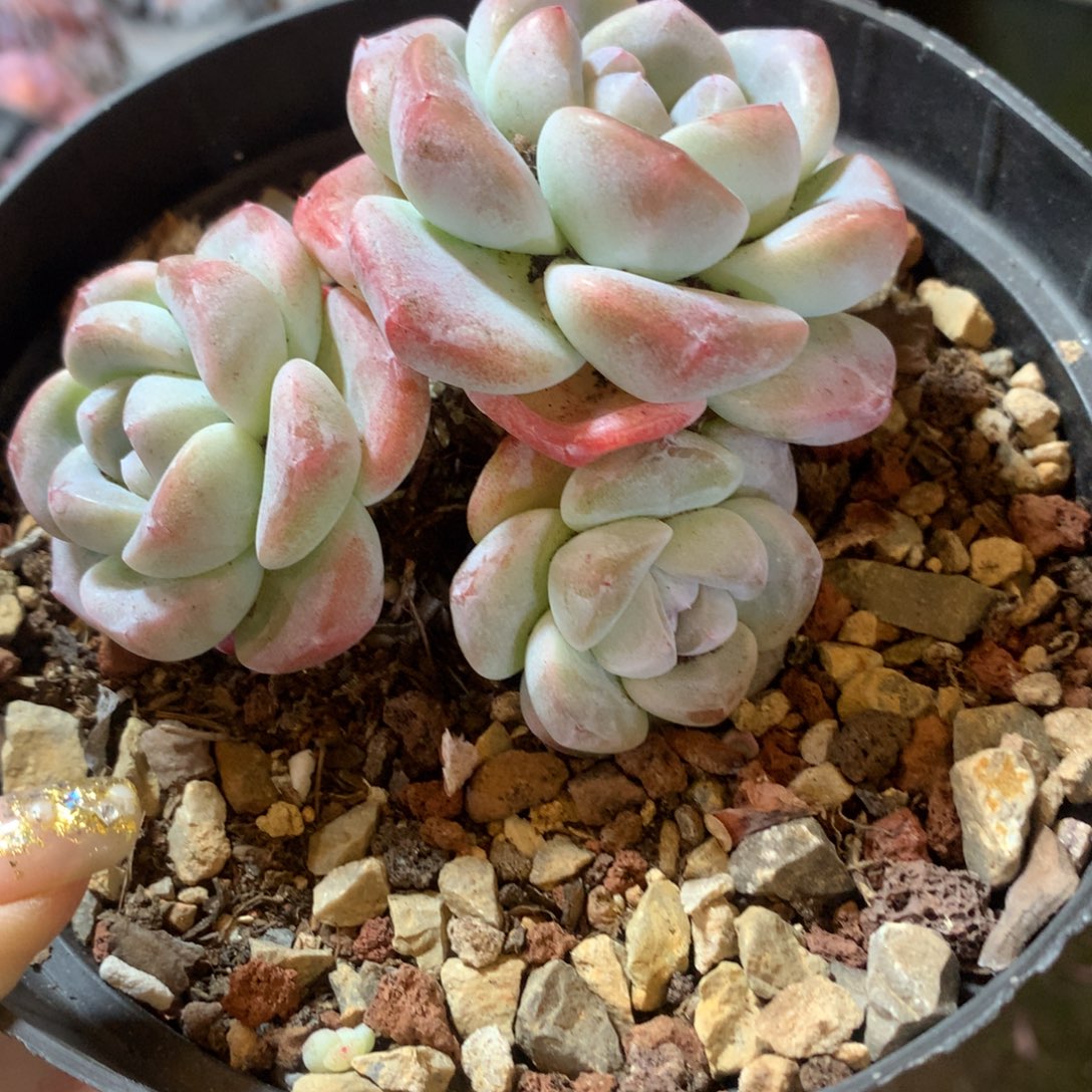 哈哈哈哈哈哈哈哈哈哈