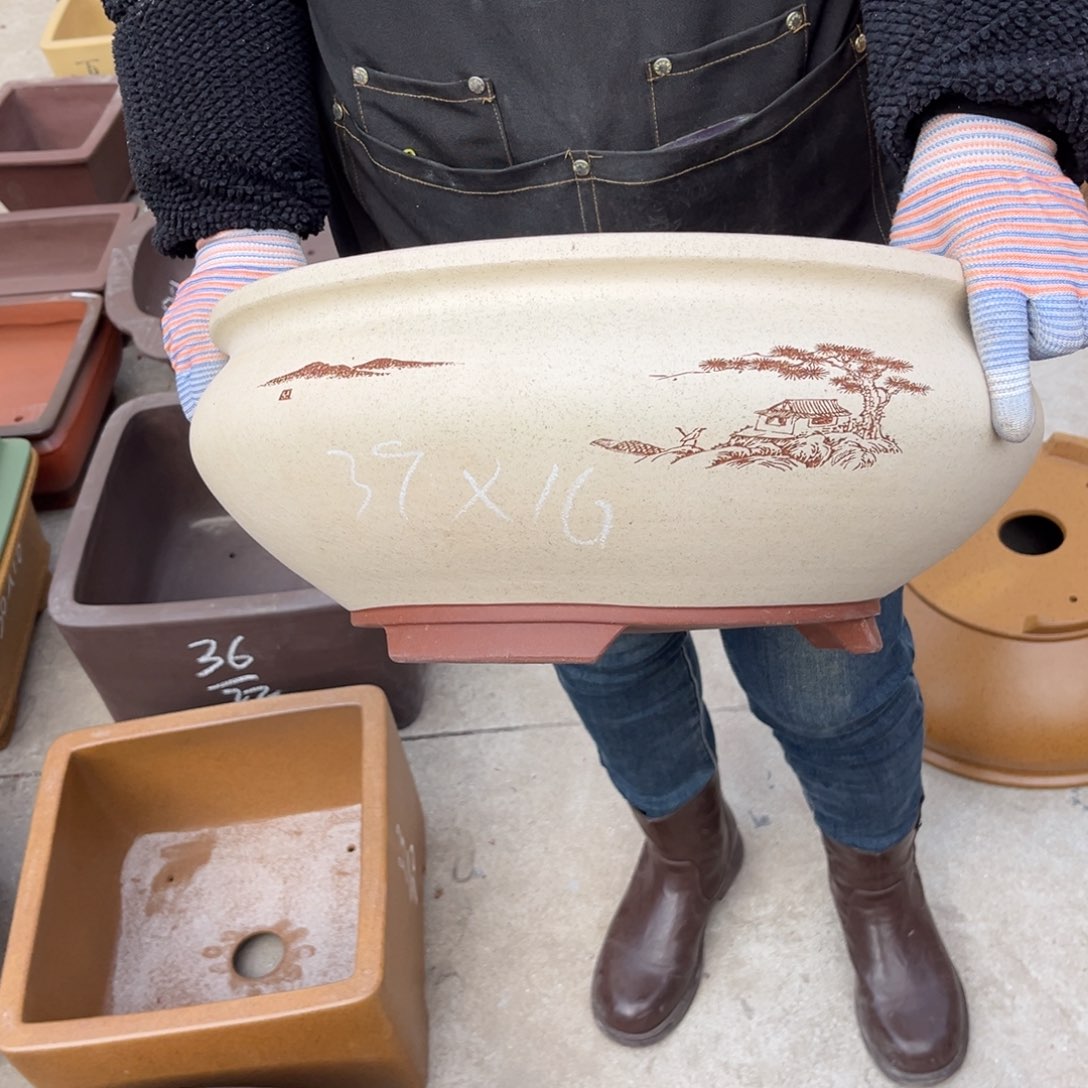 紫砂花盆盆景艺术