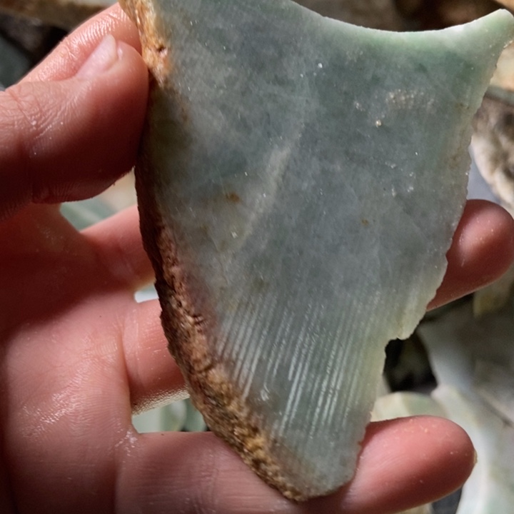 翡翠颈饰未镶嵌天然天然