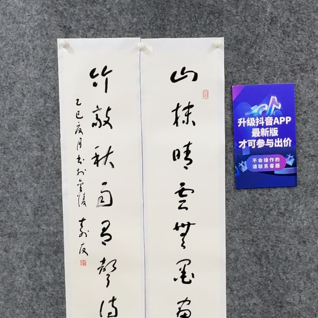 书法书法作品ZSY老师