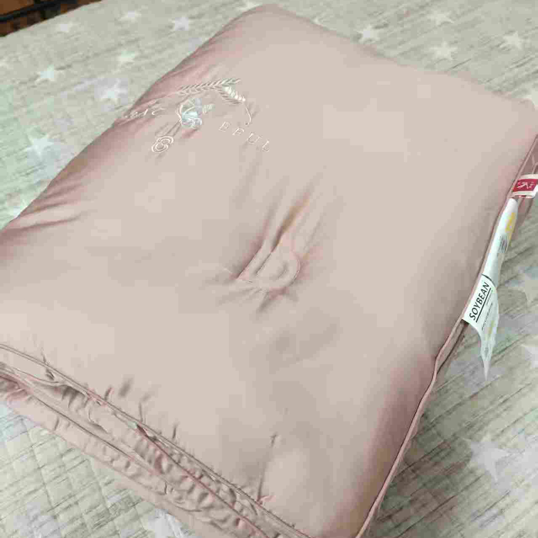 立体边大豆蛋白冬被200*230微瑕～V821