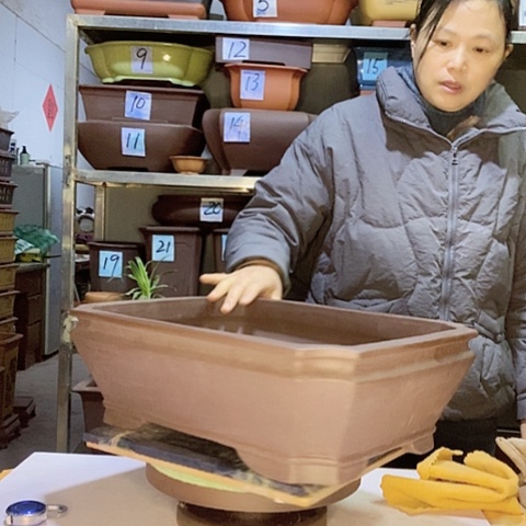 红陶花盆宜兴紫砂