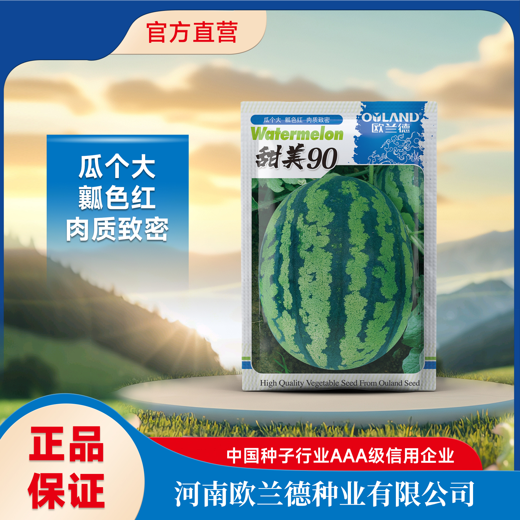 【甜美90】杂交新一代甜王西瓜种子果大瓤红肉质紧密皮厚耐储运