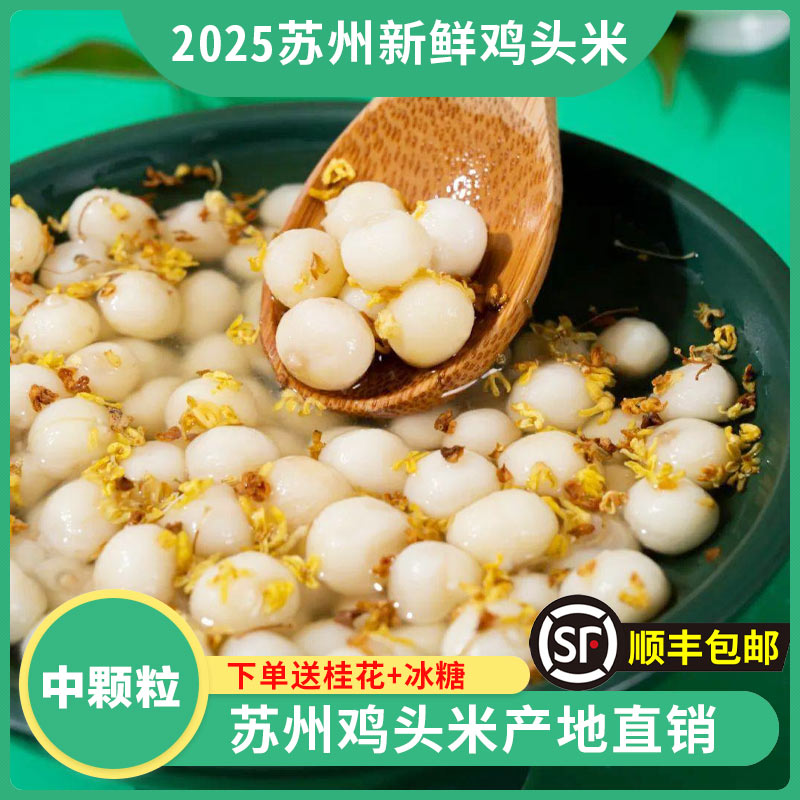 【中颗粒7-8】苏州南荡新鲜鸡头米芡实顺丰冷链发货礼盒包装